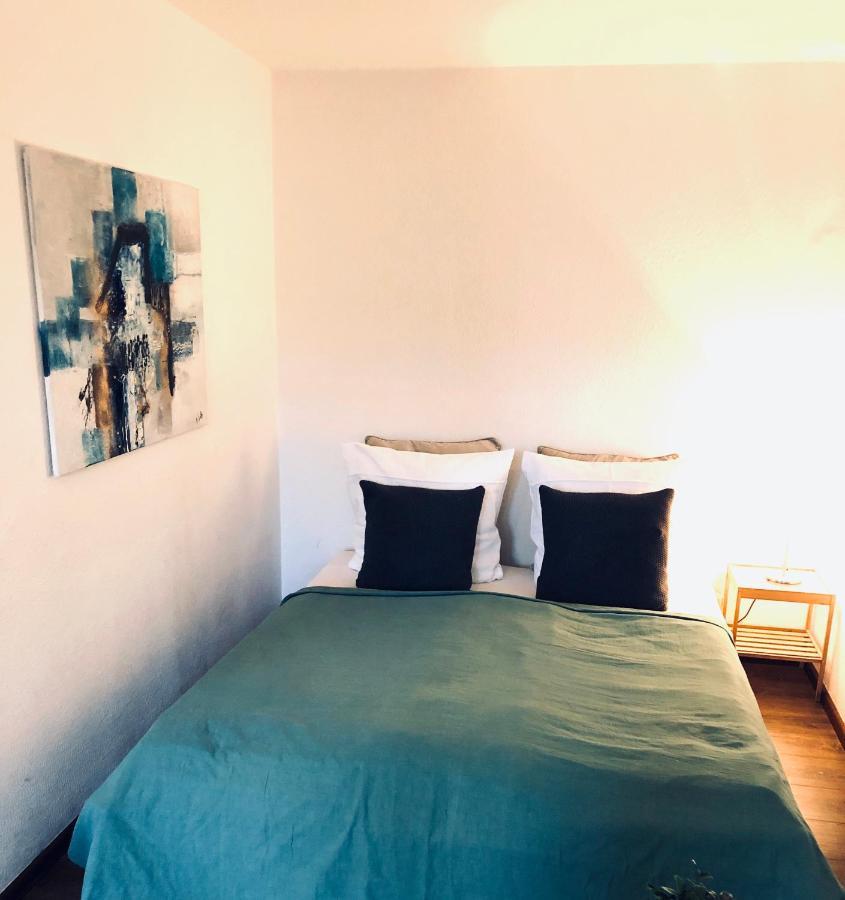 Apartment Tilia Freiburg im Breisgau Dış mekan fotoğraf